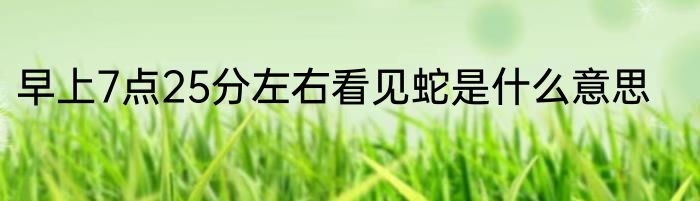 早上7点25分左右看见蛇是什么意思