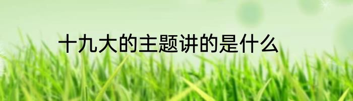 十九大的主题讲的是什么