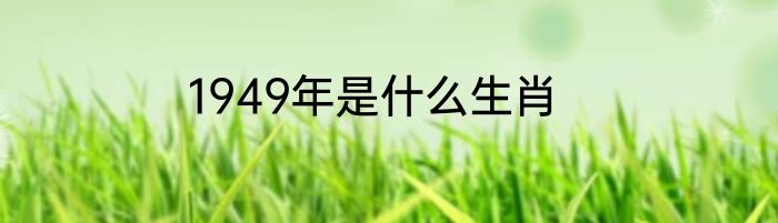 1949年是什么生肖
