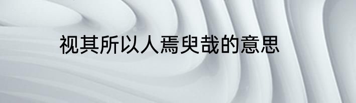 视其所以人焉臾哉的意思