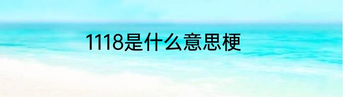 1118是什么意思梗