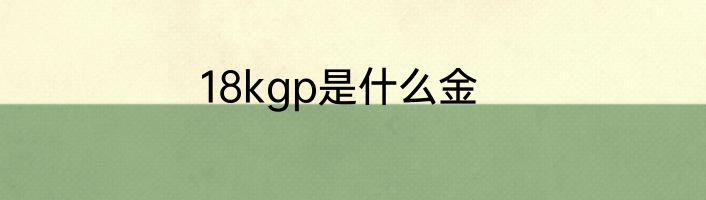 18kgp是什么金