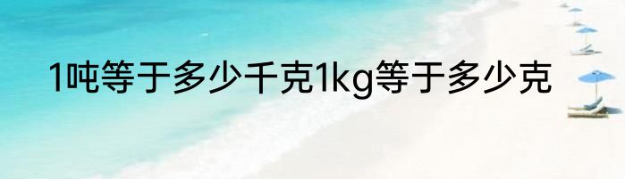 1吨等于多少千克1kg等于多少克