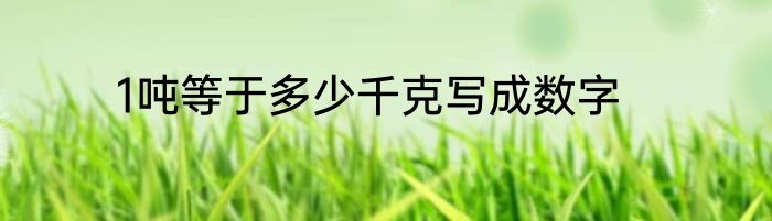 1吨等于多少千克写成数字