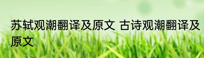 苏轼观潮翻译及原文 古诗观潮翻译及原文