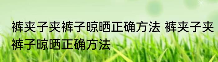 裤夹子夹裤子晾晒正确方法 裤夹子夹裤子晾晒正确方法