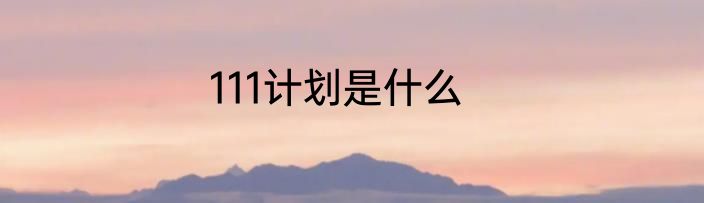 111计划是什么
