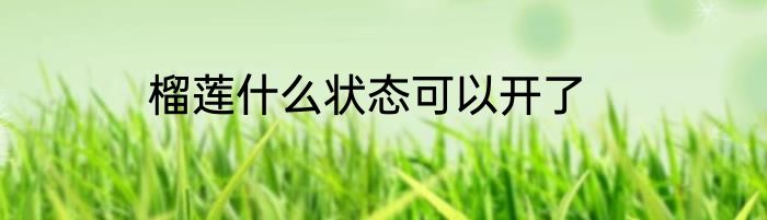 榴莲什么状态可以开了