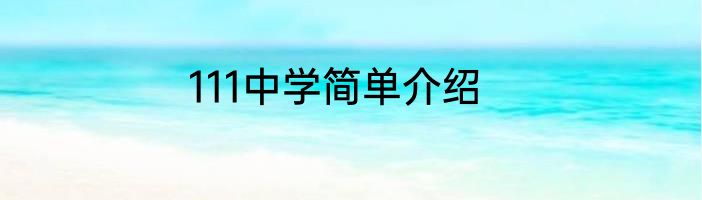 111中学简单介绍