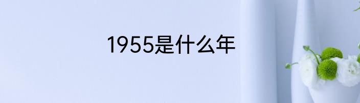 1955是什么年