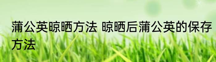 蒲公英晾晒方法 晾晒后蒲公英的保存方法