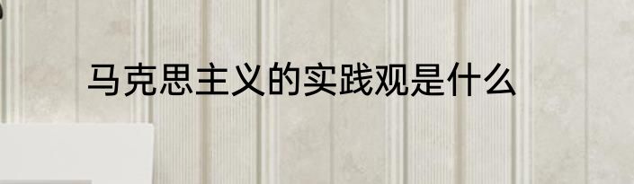 马克思主义的实践观是什么
