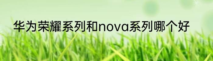 华为荣耀系列和nova系列哪个好