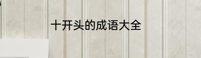 十开头的成语大全