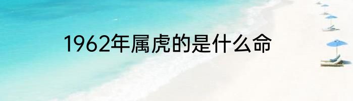 1962年属虎的是什么命