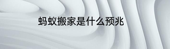 蚂蚁搬家是什么预兆