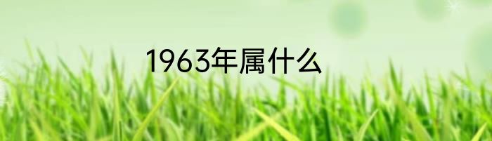 1963年属什么