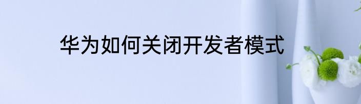 华为如何关闭开发者模式