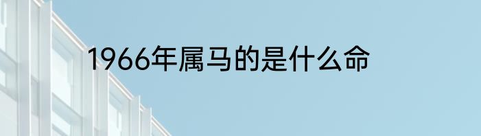 1966年属马的是什么命