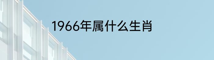 1966年属什么生肖