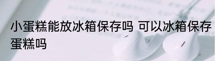 小蛋糕能放冰箱保存吗 可以冰箱保存蛋糕吗