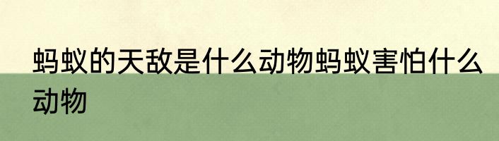 蚂蚁的天敌是什么动物蚂蚁害怕什么动物