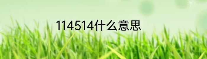 114514什么意思