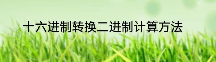 十六进制转换二进制计算方法