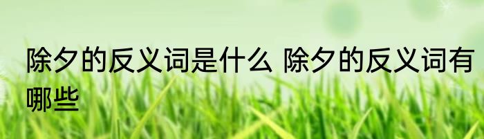 除夕的反义词是什么 除夕的反义词有哪些