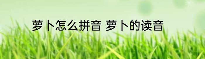 萝卜怎么拼音 萝卜的读音