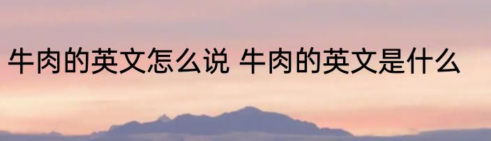 牛肉的英文怎么说 牛肉的英文是什么