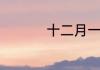 十二月一日是什么星座