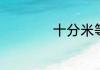 十分米等于多少厘米