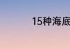 15种海底动物活动方式