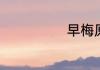 早梅原文及译文