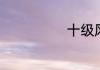 十级风什么概念