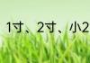 1寸、2寸、小2寸的照片尺寸是多少