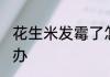 花生米发霉了怎么办 花生米发霉了咋办
