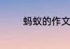 蚂蚁的作文蚂蚁的作文范文