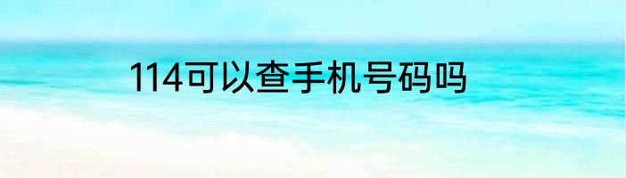 114可以查手机号码吗