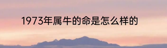 1973年属牛的命是怎么样的