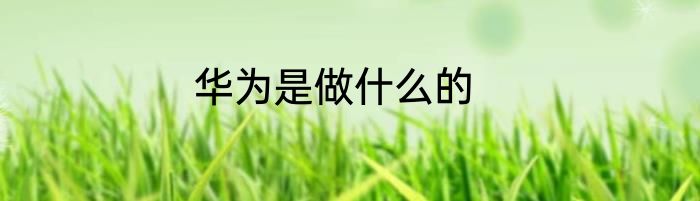 华为是做什么的