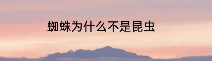 蜘蛛为什么不是昆虫