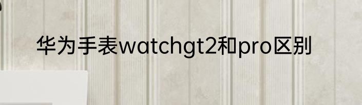 华为手表watchgt2和pro区别