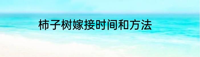 柿子树嫁接时间和方法