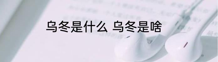 乌冬是什么 乌冬是啥
