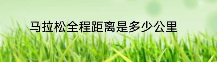 马拉松全程距离是多少公里