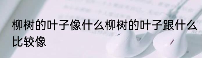 柳树的叶子像什么柳树的叶子跟什么比较像