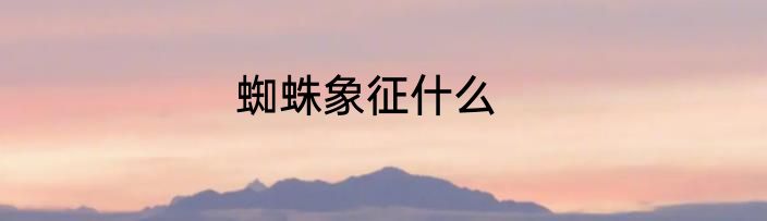 蜘蛛象征什么