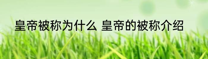 皇帝被称为什么 皇帝的被称介绍